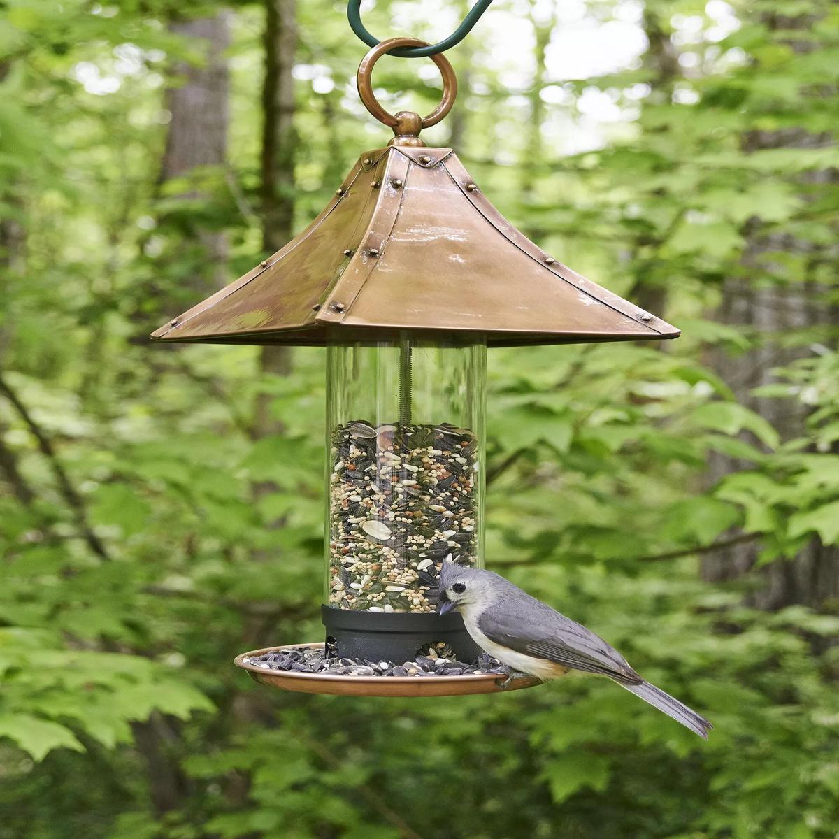 Palazzo Bird Feeder