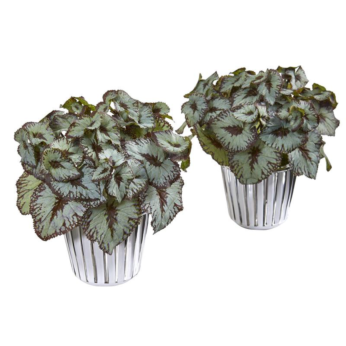 10 Begonia Artificial Plant in White and Silver Trimmed Vase (Set of 2)