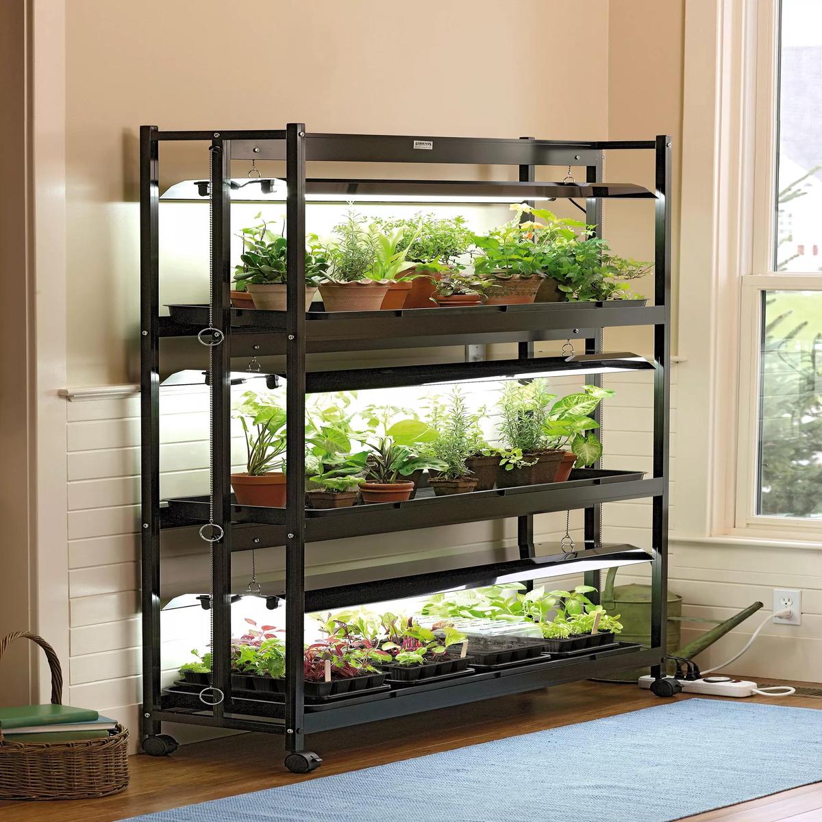 3-Tier Sunlite Garden