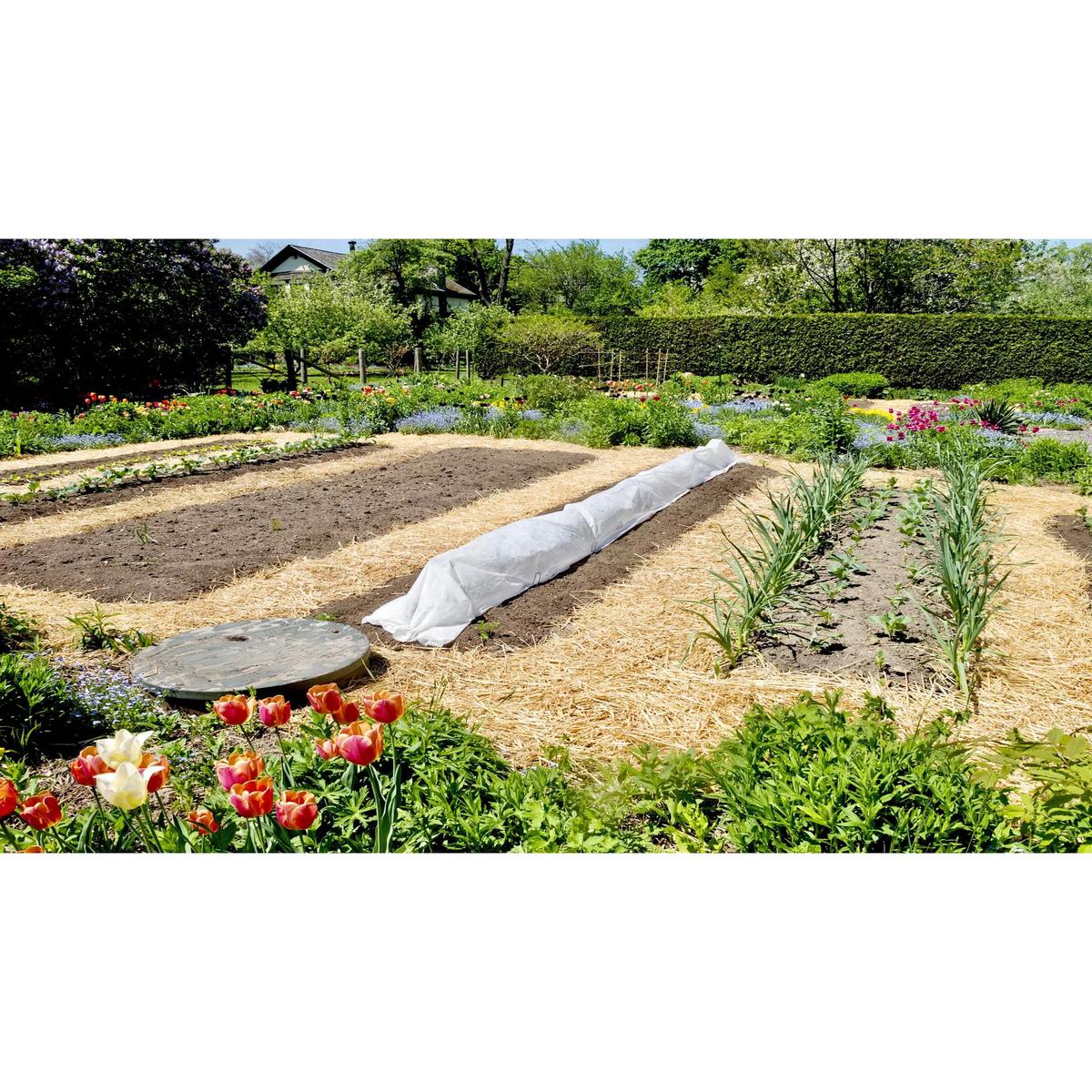 Organic Seedless Garden Straw Pro+