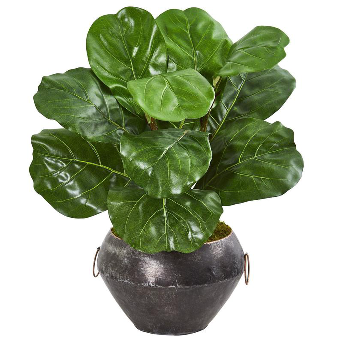 22 Fiddle Leaf Artificial Plant in Decorative Planter