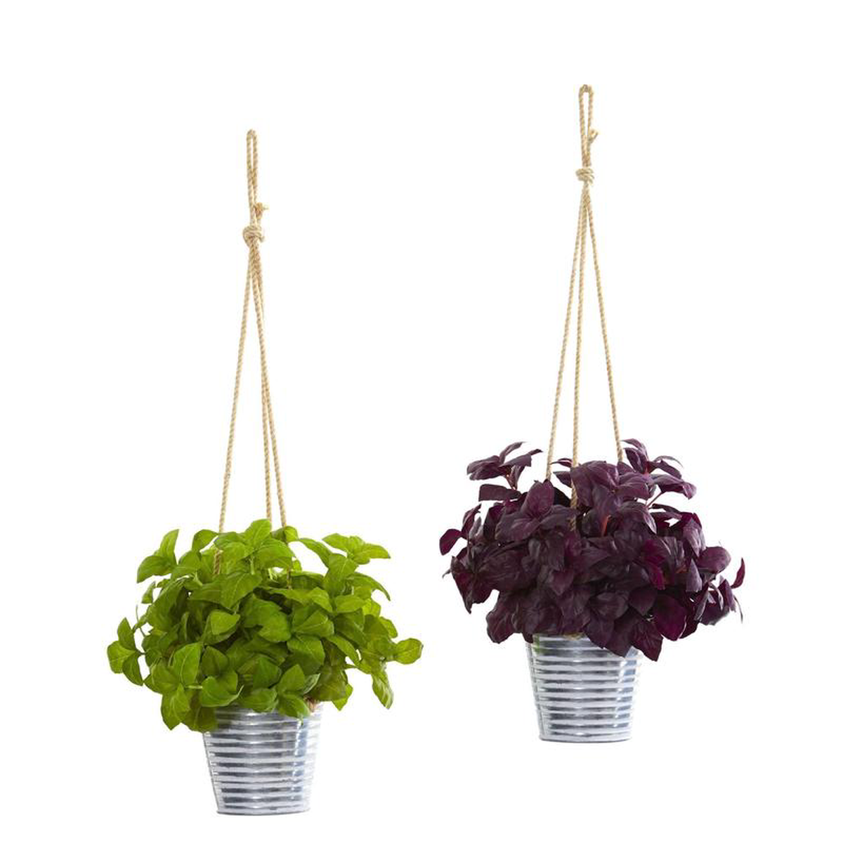 23 Basil Artificial Plant in Hanging Bucket (Set of 2)