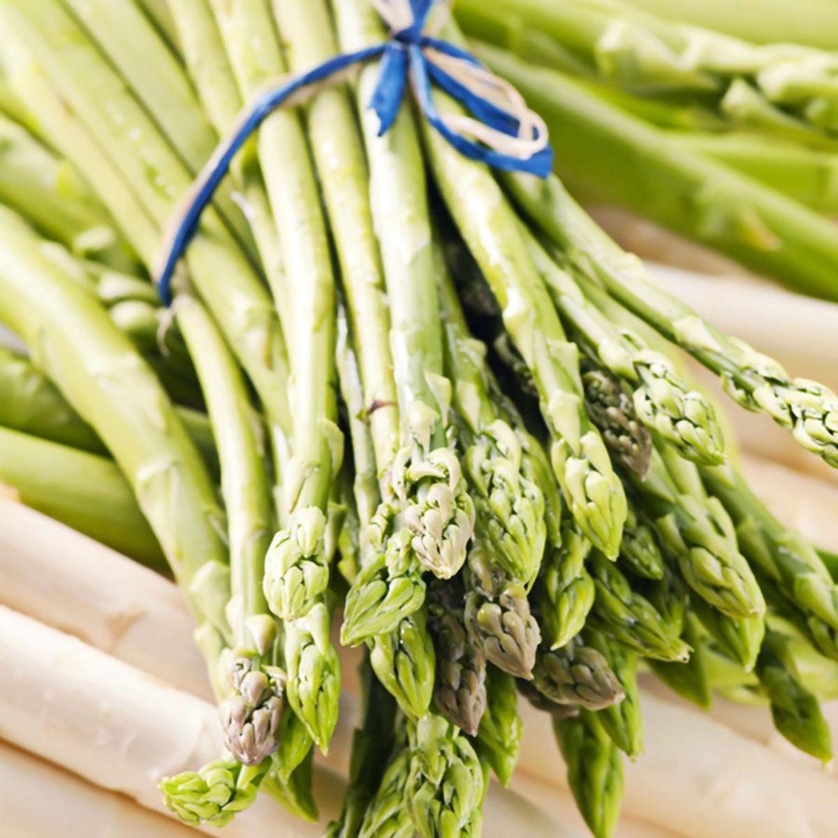Asparagus 'Jersey Giant'