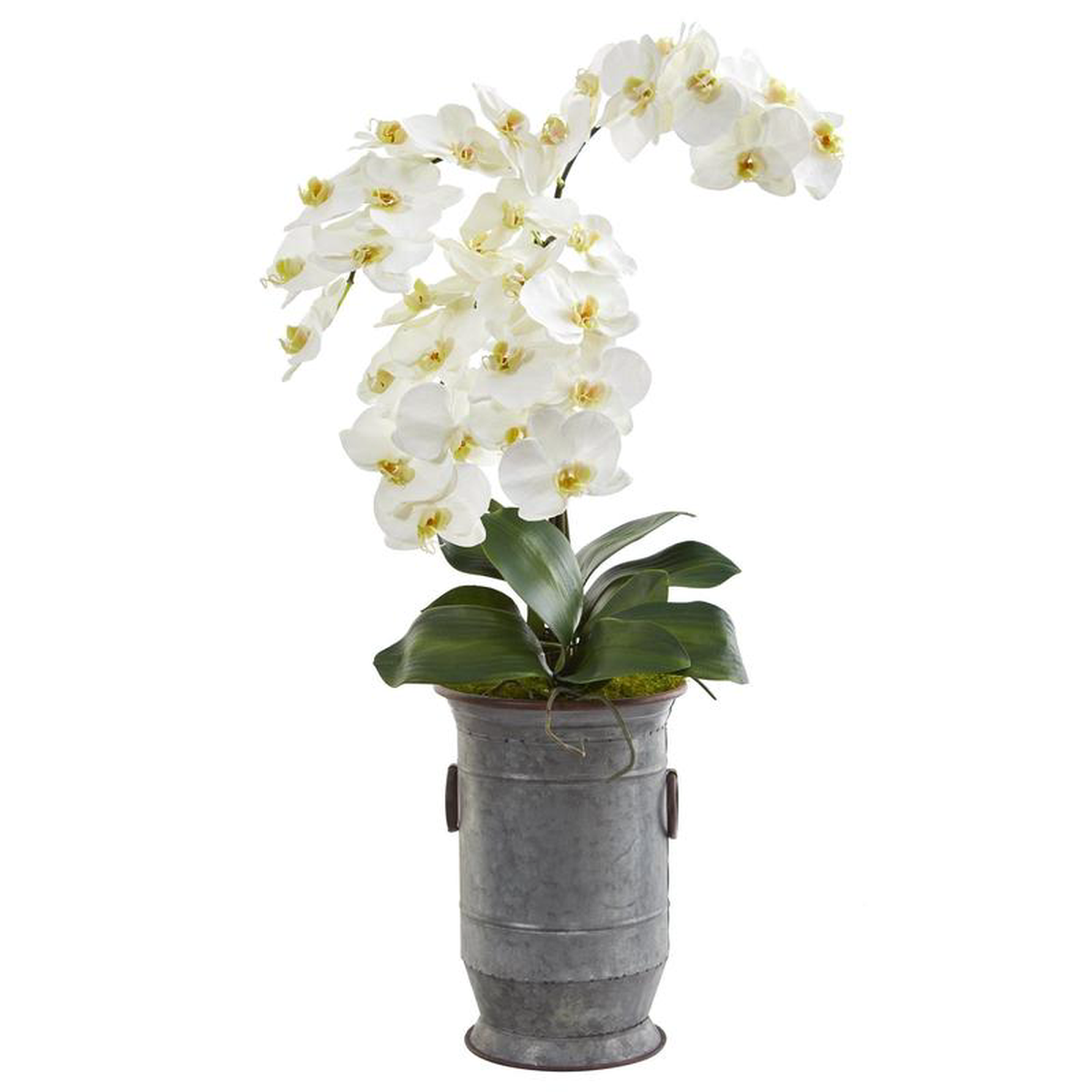 32 Phalaenopsis Orchid Artificial Arrangement in Vintage Metal Planter